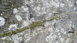 acastle 105840.jpg